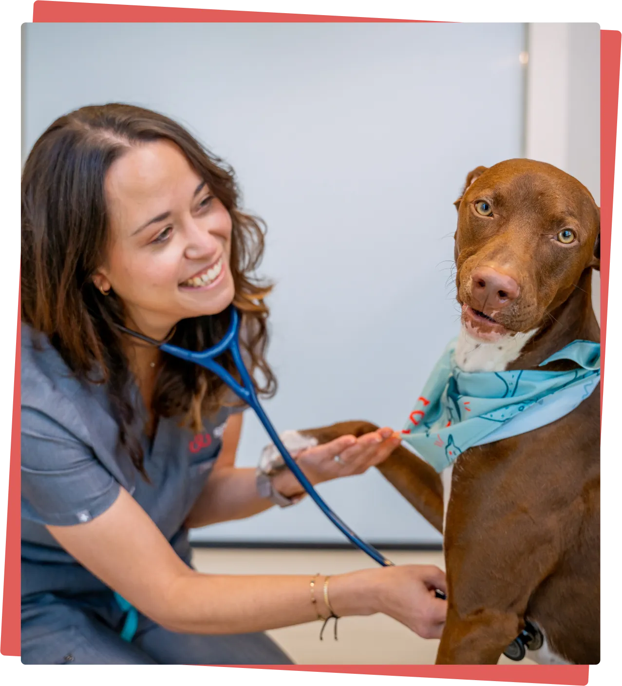 Primary & Urgent Care Veterinarian in Logan Square